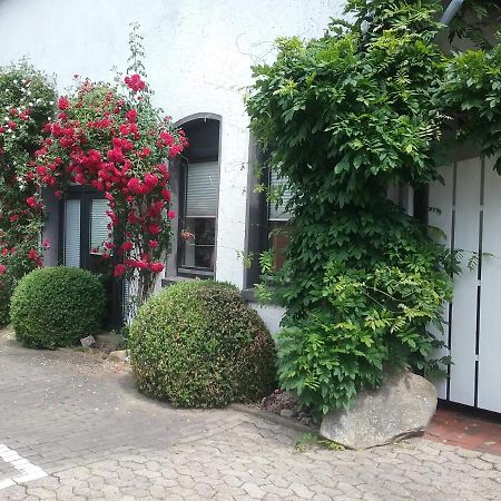 Altstadt-Apartment Petershagen Zewnętrze zdjęcie