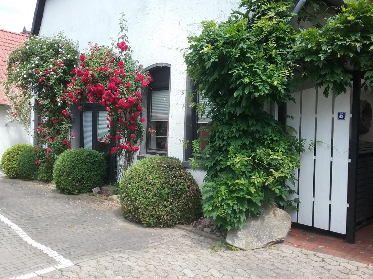 Altstadt-Apartment Petershagen Zewnętrze zdjęcie